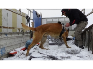 Narko Muş, Uyuşturucu Tacirlerine Göz Açtırmıyor
