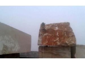 Şaşkın Tilki Akşam Uyumak İçin Çıktığı Yerden İnemedi