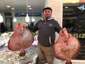 Balıkçıların Yüzü Kalkan Balıklarıyla Güldü