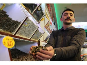 Kayseri’de Çekirdeğe ’Korona Virüs’ Darbesi