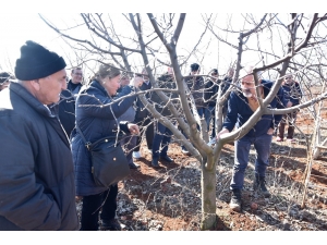 Budama Eğitimini Teoriden Pratiğe Döktüler