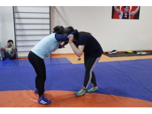 Aile Boyu Güreşçiler