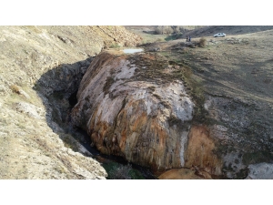 Dünyada Nadir Görülüyordu, Koruma Atına Alındı