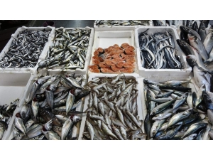 Trabzon’a Hamsi Gürcistan’dan, Uskumru İzmir’den, İstavrit Marmara’dan, Levrek Kafesten Geliyor