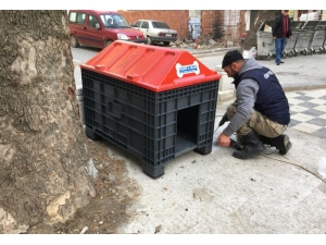 Marmara’da ’Minik Dostlara’ Yuva