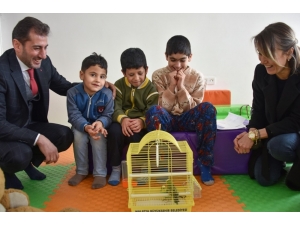 Öğrenciler Muhabbet Kuşu İle Rehabilite Olacak