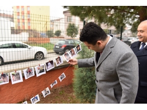 Öğrenciler İstedi Başkan Avcı Kedi Evini Teslim Etti