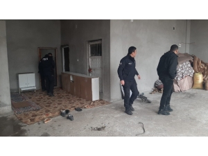 Adıyaman’da Kablo Hırsızları Yakalandı