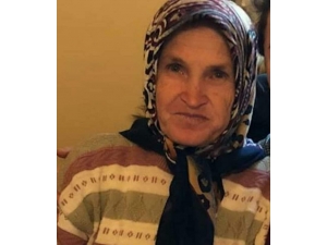 Nallıhan’da Kaybolan Kadını Arama Çalışmaları Sürüyor