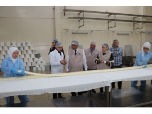 176 Gıda Kontrolöründen Sıkı Denetim