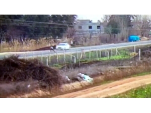 Çarpıp Kaçtı, 15 Yaşındaki Çocuk Hayatını Kaybetti