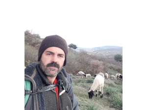 Kuzuların Yüksek Ses Çıkarmasından Şüphelendi, Video Çekerken Depremi Kaydetti