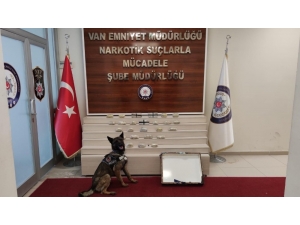 Hediyelik Eşya Kolisinden Zehir Çıktı