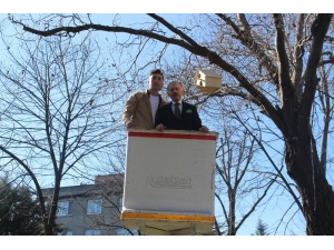 Meslek Lisesi Öğrencilerinden Kedi, Köpek Ve Kuşlara Yuva