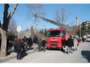 Amasya’da Ağaçlara Kış Bakımı