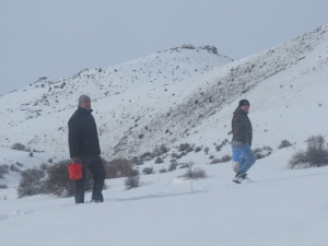 Bayburt Dkmp Yaban Hayvanlarını Unutmuyor