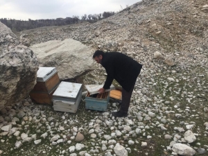Adıyaman’da 16 Adet Arılı Kovan Çalındı