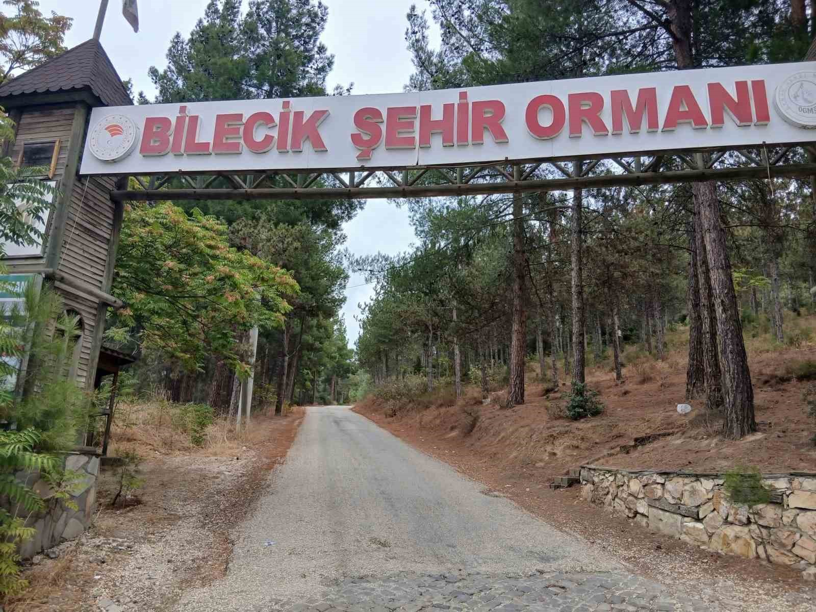 bilecik-sehir-ormani-nin-yollari-kostebek-yuvasina-dondu