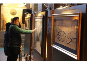 Köklerin Rengine İlgi Büyük