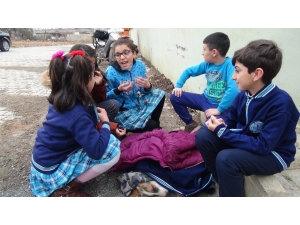 Yaralı Köpeğin Altına Örtü, Üzerine Mont Örttüler