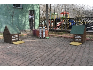 Şahinbey Belediyesi Sokak Hayvanlarına Sahip Çıkıyor