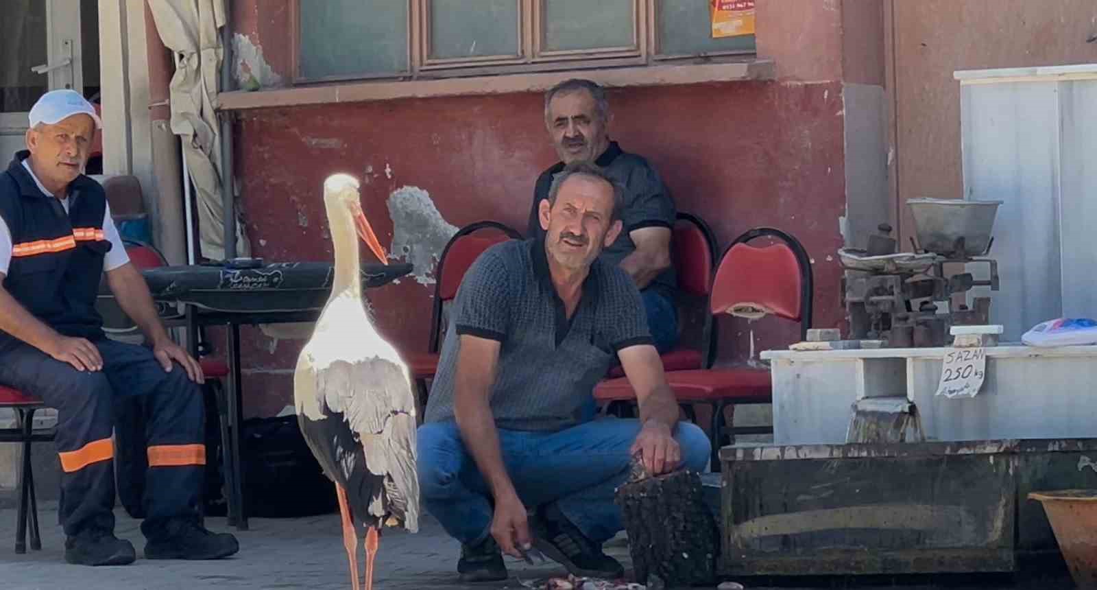 balikci-ahmet-ile-leylegin-10-yillik-kahvehane-randevusu
