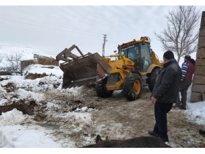 Karın Ağırlığını Taşıyamayan Ahırın Çatısı Çöktü: 3 Büyükbaş Hayvan Telef Oldu