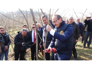 Vali Yavuz: “Fındık Üretimi Yüzde 10 Artarsa, 400 Milyon Lira Ek Gelir Olur”