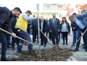 Didim Belediyesi’nden Yeni Peyzaj Çalışması İçin İlk Adım