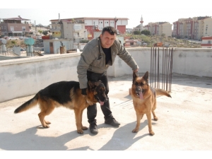 ’Hera’ Ve ’Clan’ Şampiyonluğa Hazırlanıyor