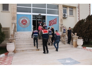 Midyat’ta 3 Hırsızlık Zanlısı Yakalandı