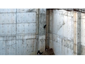 Kuş Avlamak İsteyen Kedi İnşaatın Temelinde Mahsur Kaldı