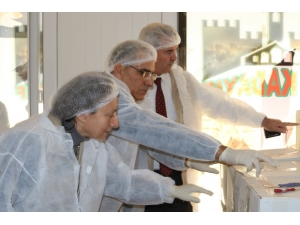 Denizli’de Unlu Mamuller Üretimi Yapan İşletmelere Yönelik Denetim