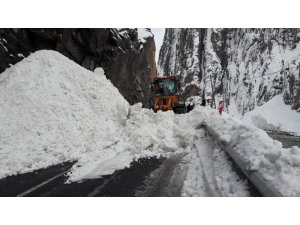 Hakkari-van Kara Yoluna Çığ Düştü