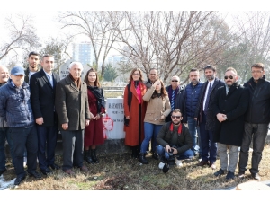 Duayen Gazeteci Mahmut Sabah Kabri Başında Anıldı