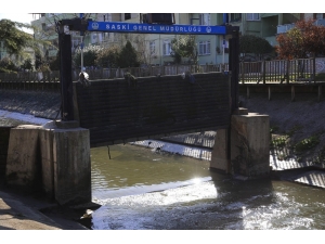 Sakarya Uzun Yıllar Boyunca Su Sıkıntısı Çekmeyecek