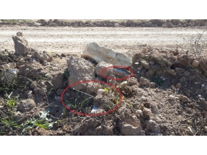 Rasulayn’da 20 Kilogram Eyp İmha Edildi