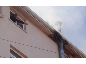 Bacadaki Yangını Hortumla Su Sıkıp Söndürmeye Çalıştı