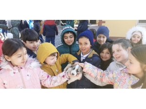 Çocuklar Hayvan Barınağını Ziyaret Etti