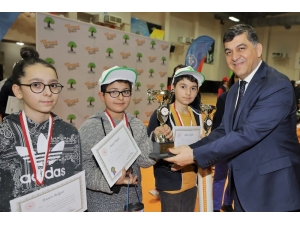 Satrançta Şampiyon Okullar Kupalarını Aldı