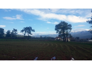 İpekböcekçiliği Muğla’da Hayat Buluyor