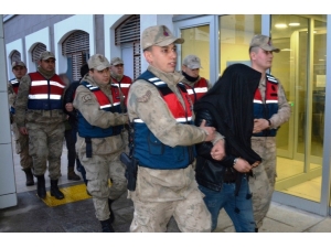 Şanlıurfa’da Hayvan Hırsızlığı: 4 Tutuklama