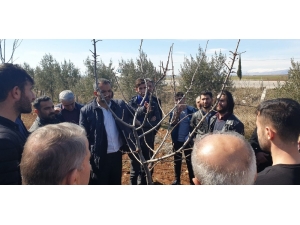 Badem Üreticilerine Eğitim Verildi