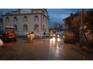 Uşak’ta Barajın Çatlaması Nedeniyle Köylüler Tahliye Ediliyor