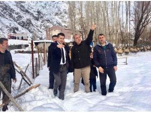 Vali Yardımcısı Duruk Çığ Bölgesinde