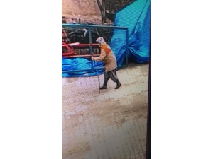 Nallıhan’da Kayıp Olan Yaşlı Kadın 6 Gündür Bulunamadı