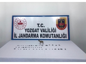 Jandarma’dan Tarihi Eser Operasyonu