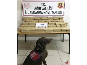 Ağrı’da 148 Kilogram Eroin Ele Geçirildi