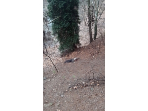 Kumalığı Kabul Etmeyen Kadının Başını Taşla Ezerek Öldürdü