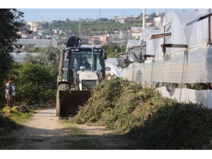 Erdemli’de Tarım Arazileri Temizlendi